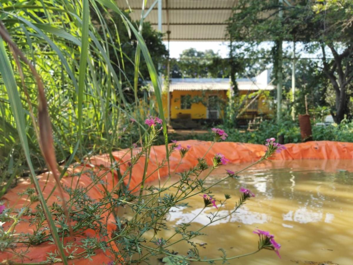 Hornbill Farm Resort Hyderabad Exterior photo